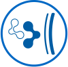 Renforce le microbiome de la peau